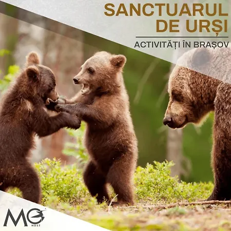 Apartament Luxury Penthouse 11th Floor Mountain View Large Terrace Floor Heating New Building Board Games Self Check-in Shopping Center 360 Tour Free Parking Brașov