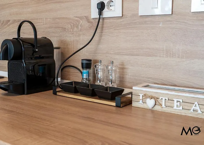 Mohost Penthouse - Mountain View - Large Terrace - Floor 11th Brasov