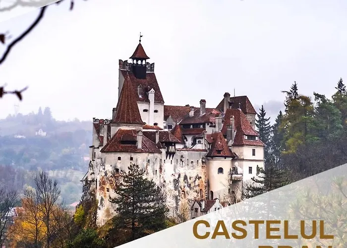 Mohost Penthouse - Mountain View - Large Terrace - Floor 11th Brasov